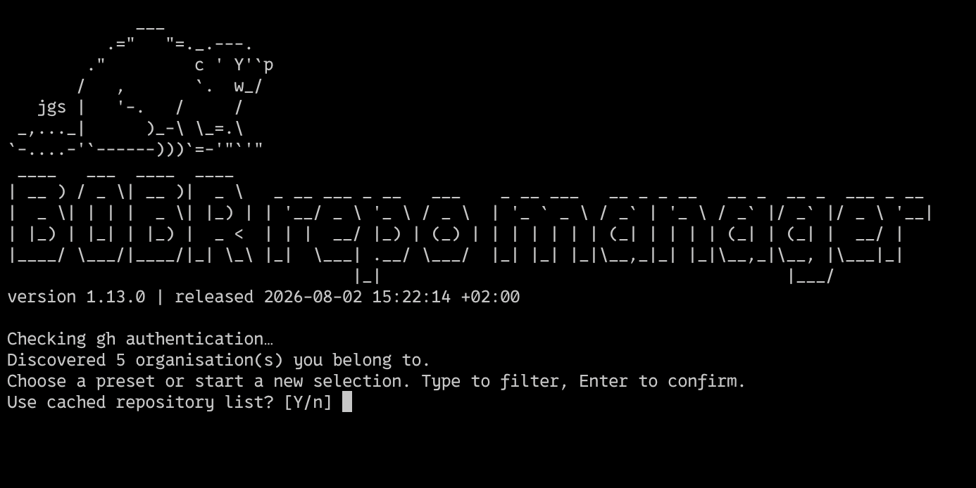Terminal UI for agent-repo-manager: version banner, GitHub auth check, organisation discovery, and prompt to choose a preset or start a new selection